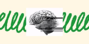 Why Learn Something That a Machine Can Do for You?