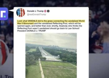 Trump humiliated on MS NOW over dead grass diatribe as glaring omission called out