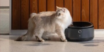 Internet-Connected Pet Feeders Go Down, Leaving Kitties Hungry