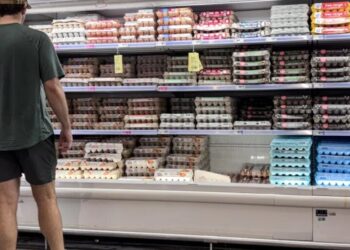 Check your fridge: Nearly 19 million eggs are under the FDA’s most serious recall classification