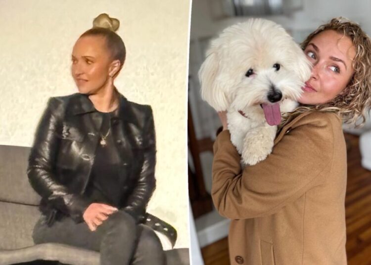 Tragic Hayden Panettiere slurred her words and became emotional in final appearance before her death