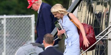 What to Know About Trump’s Aide Natalie Harp