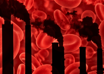 How Climate Change Is Messing With Your Blood