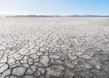 Our Approach to Drought and Wildfire Is Economically Backwards