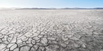 Our Approach to Drought and Wildfire Is Economically Backwards