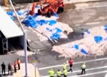 ‘Squid has a distinctive odor to it’: Seafood truck crash in Rhode Island creates ‘Squidpocalypse of ’26’