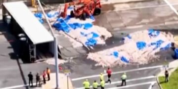 ‘Squid has a distinctive odor to it’: Seafood truck crash in Rhode Island creates ‘Squidpocalypse of ’26’
