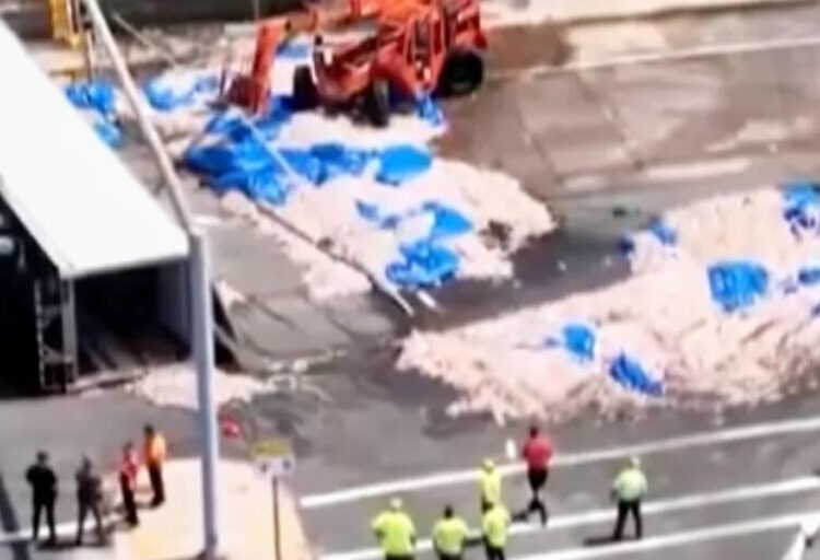 ‘Squid has a distinctive odor to it’: Seafood truck crash in Rhode Island creates ‘Squidpocalypse of ’26’