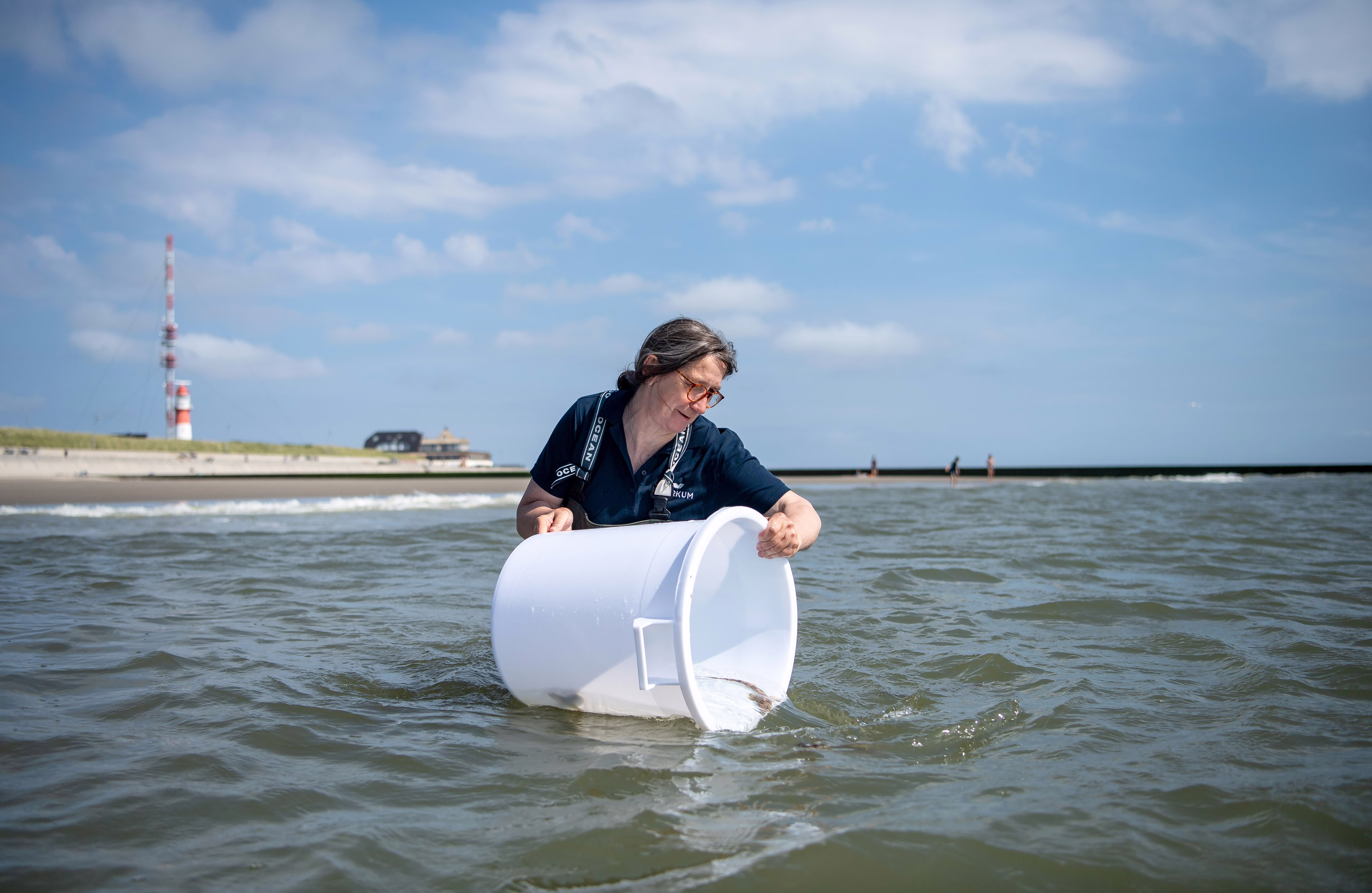 A person stands in waist-deep water, releasing small young sharks from a plastic container into the sea.