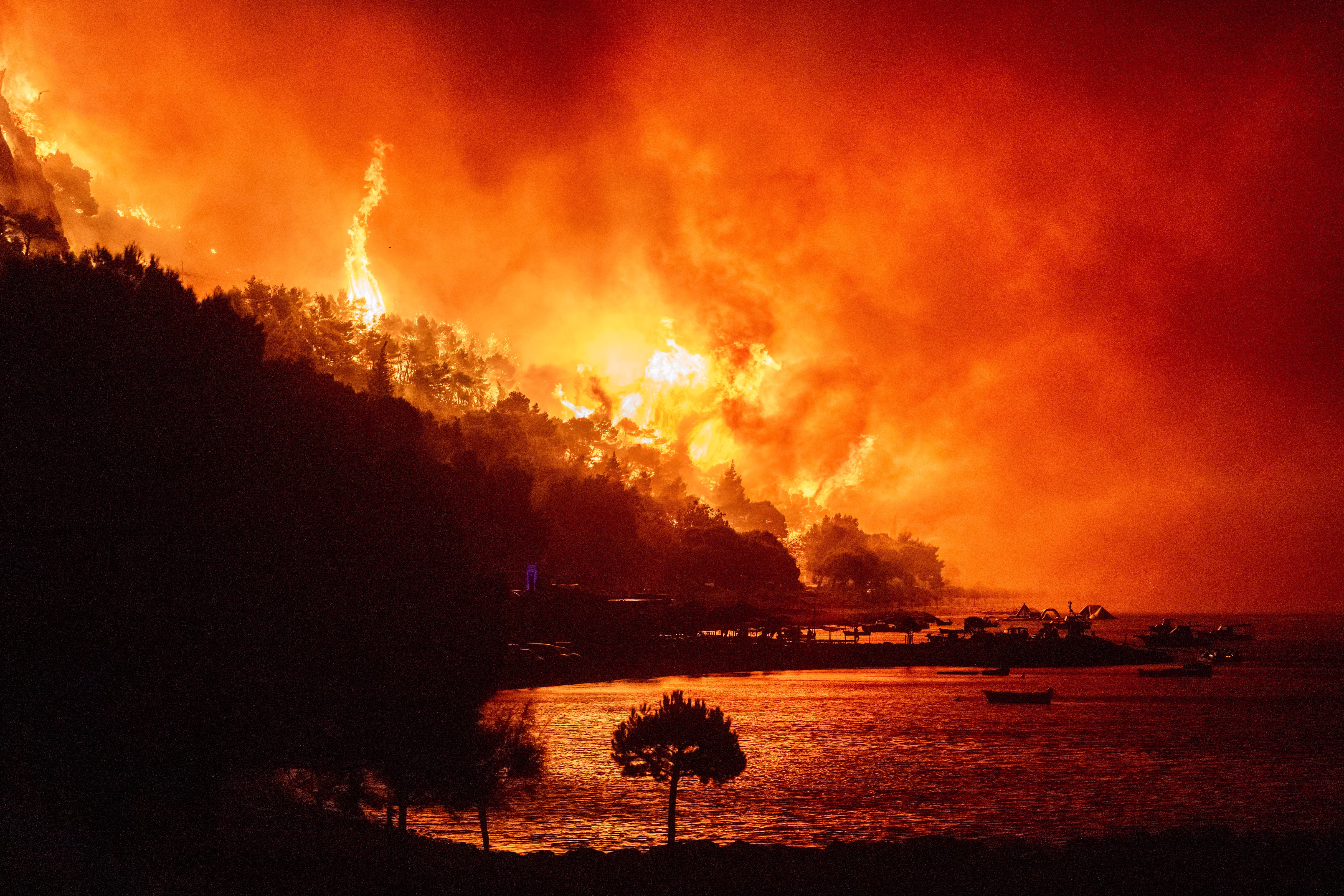 A wildfire approaches a beach, seen at night.