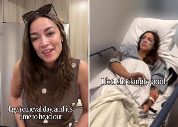 AOC announces completion of egg retrieval journey, vows to share more public updates on process