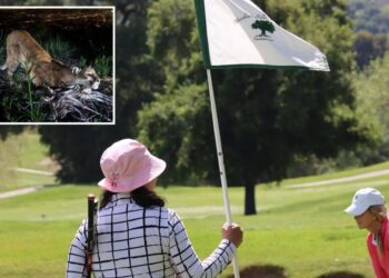 Housing project on Woodland Hills Country Club hits major road block due to mountain lions
