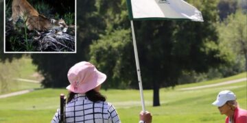 Housing project on Woodland Hills Country Club hits major road block due to mountain lions