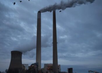 A climate novel imagined a heat wave killing 20 million people—scientists say an ‘extreme of extremes’ is no longer fiction