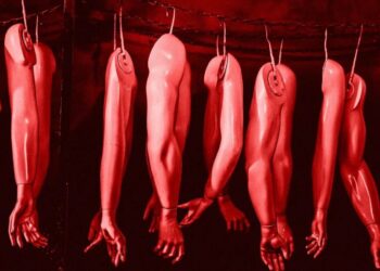 Harvard Professor Warns That AI Execs Are Pushing World Toward Factory Farming of Humans