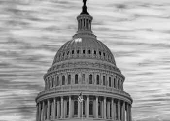 The False Fear of Noncitizen Voting