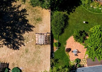 We Asked Experts For the Easiest Ways to Shrink Your Home Water Usage