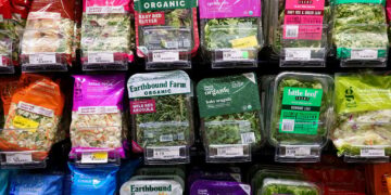 E. coli, Salmonella, Cyclospora: Is the U.S. Seeing a Surge in Foodborne Illnesses?
