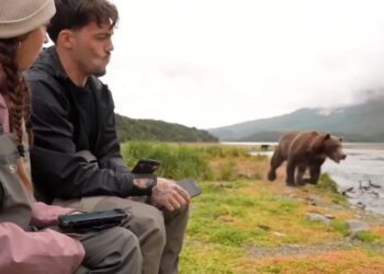 Streamers Now Going Live With Grizzly Bears, Which Will Surely End Well and Not Like “Grizzly Man”