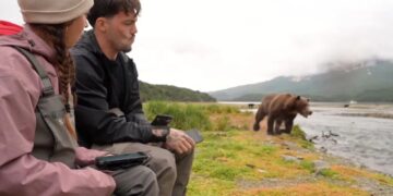 Streamers Now Going Live With Grizzly Bears, Which Will Surely End Well and Not Like “Grizzly Man”