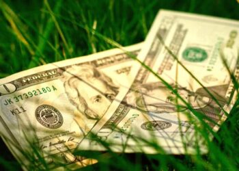 Police Use Surveillance Cameras to Narc On Guy Who Found $30 on the Ground