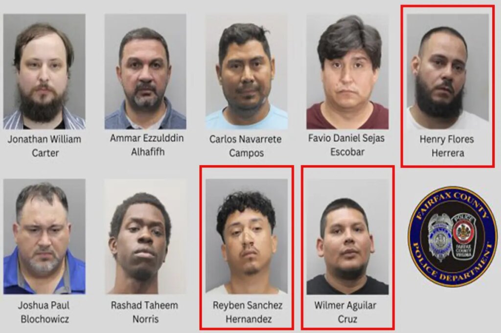 3 illegal aliens arrested in major Virginia child exploitation sting released on bond