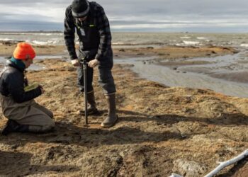Scientists are using AI to track permafrost thaw as Arctic lakes vanish in hours