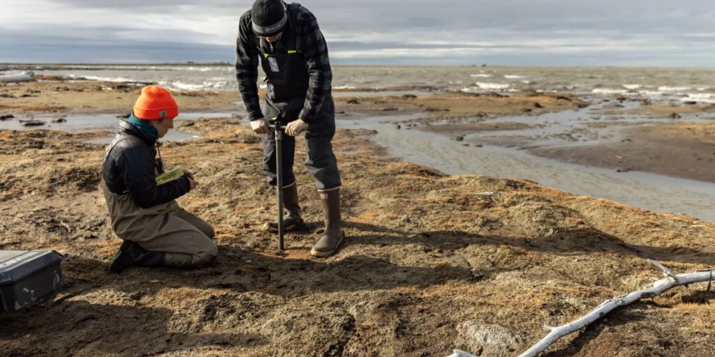 Scientists are using AI to track permafrost thaw as Arctic lakes vanish in hours