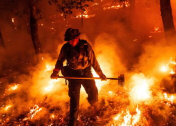 A wildfire caused millions in damages in Napa County. A winery worker is accused of causing it