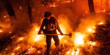 A wildfire caused millions in damages in Napa County. A winery worker is accused of causing it