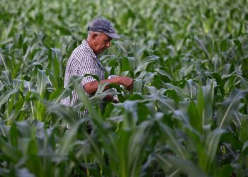 World hunger decline is good news. The work isn’t done yet.