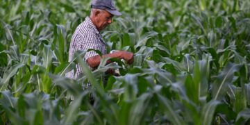 World hunger decline is good news. The work isn’t done yet.