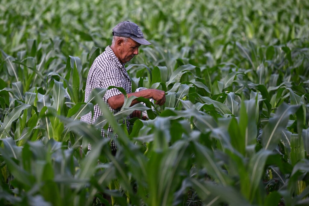 World hunger decline is good news. The work isn’t done yet.