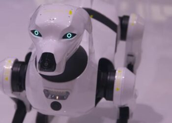 ICE explores purchasing robot dogs in enforcement tech push