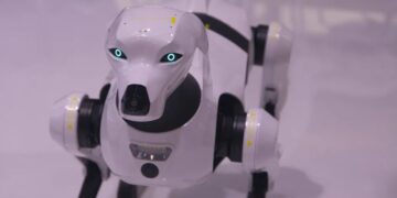 ICE explores purchasing robot dogs in enforcement tech push