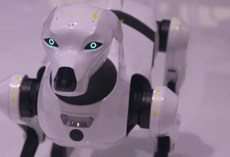 ICE explores purchasing robot dogs in enforcement tech push