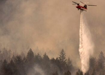 Napa Winery Worker Charged in Fire That Damaged Grape Harvests
