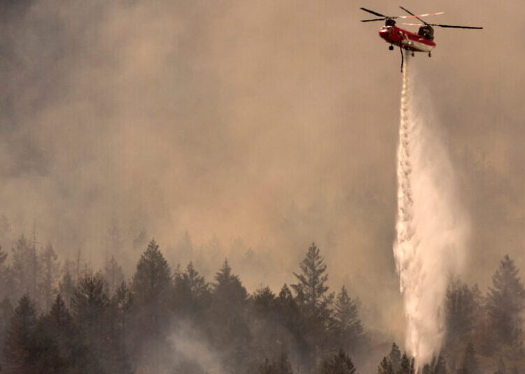 Napa Winery Worker Charged in Fire That Damaged Grape Harvests