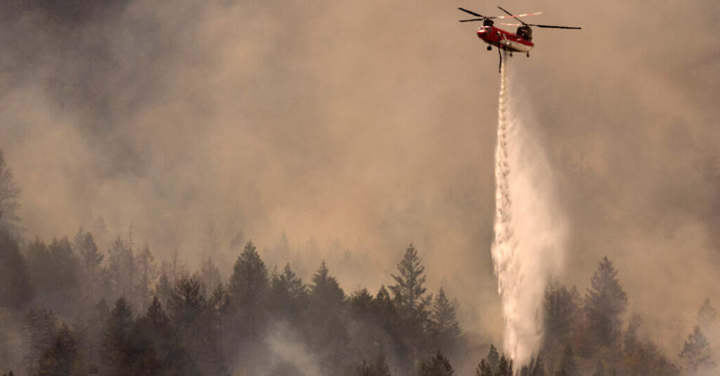 Napa Winery Worker Charged in Fire That Damaged Grape Harvests