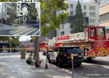 Woman jumps to her death from luxury apartment building in LA