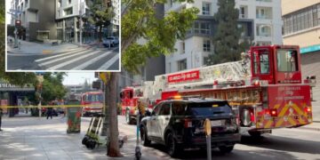Woman jumps to her death from luxury apartment building in LA