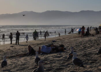 Gov. Newsom backs off from shameful gambit, and it’s a victory for California coast