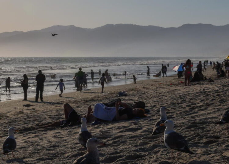 Gov. Newsom backs off from shameful gambit, and it’s a victory for California coast