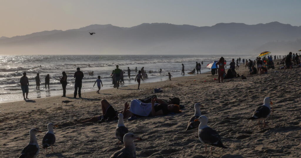 Gov. Newsom backs off from shameful gambit, and it’s a victory for California coast