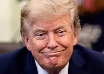 Trump’s AI duck invasion baffles on both sides of the border: ‘Our president is insane’