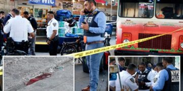 13-year-old stabbed in broad daylight attack in the Bronx