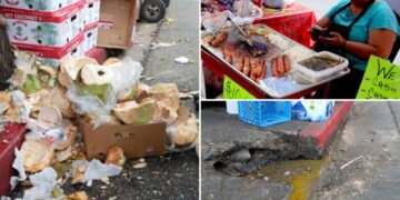 Dog-eaten meat, rats and urine: Stomach-churning details of 10K LA street food complaints revealed