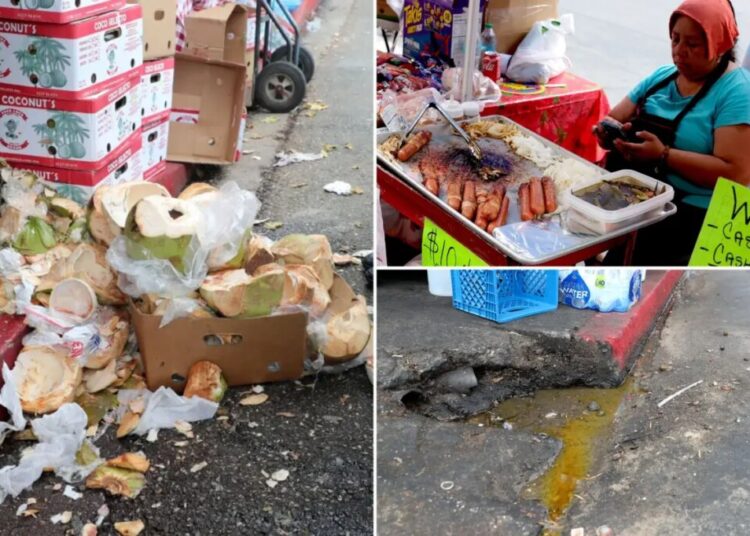 Dog-eaten meat, rats and urine: Stomach-churning details of 10K LA street food complaints revealed