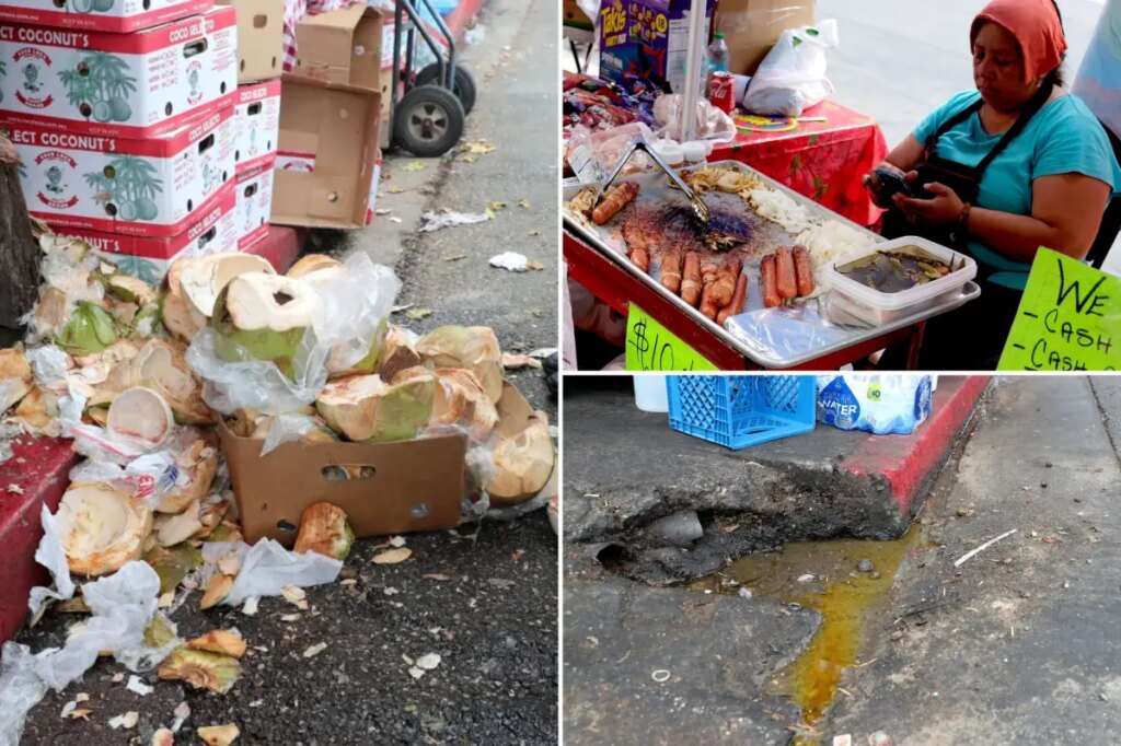 Dog-eaten meat, rats and urine: Stomach-churning details of 10K LA street food complaints revealed