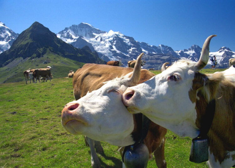 The best of Alpine Europe, according to Rick Steves